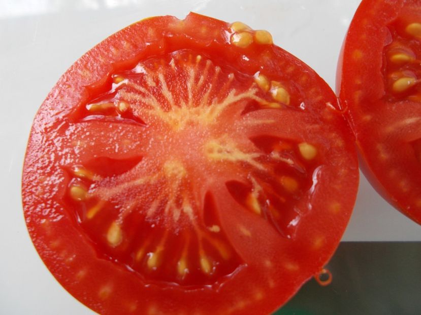  - SEMINTE ROSII - T 1102 DELIGHTFUL TOMATO