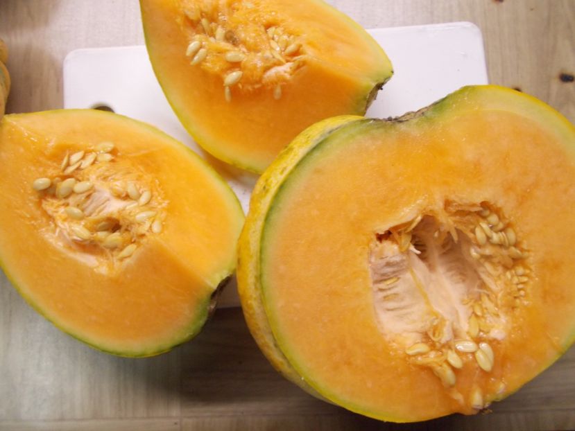  - SEMINTE PEPENE GALBEN - D 220 ZATTA