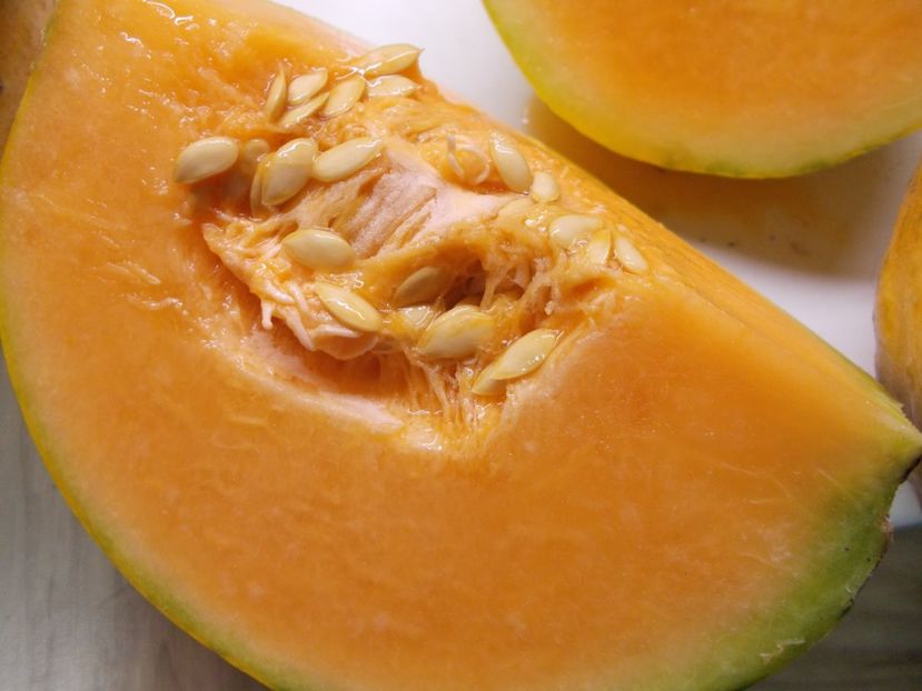  - SEMINTE PEPENE GALBEN - D 220 ZATTA