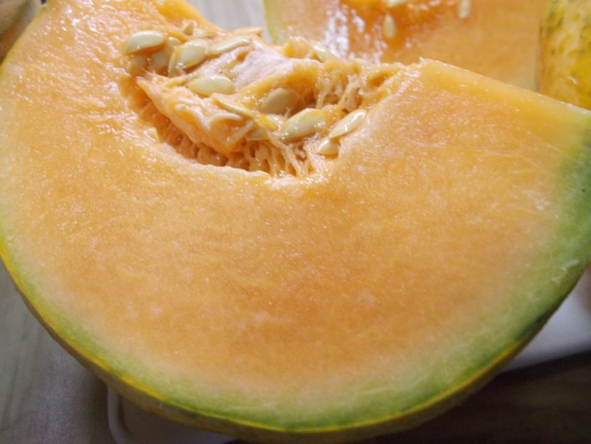  - SEMINTE PEPENE GALBEN - D 220 ZATTA