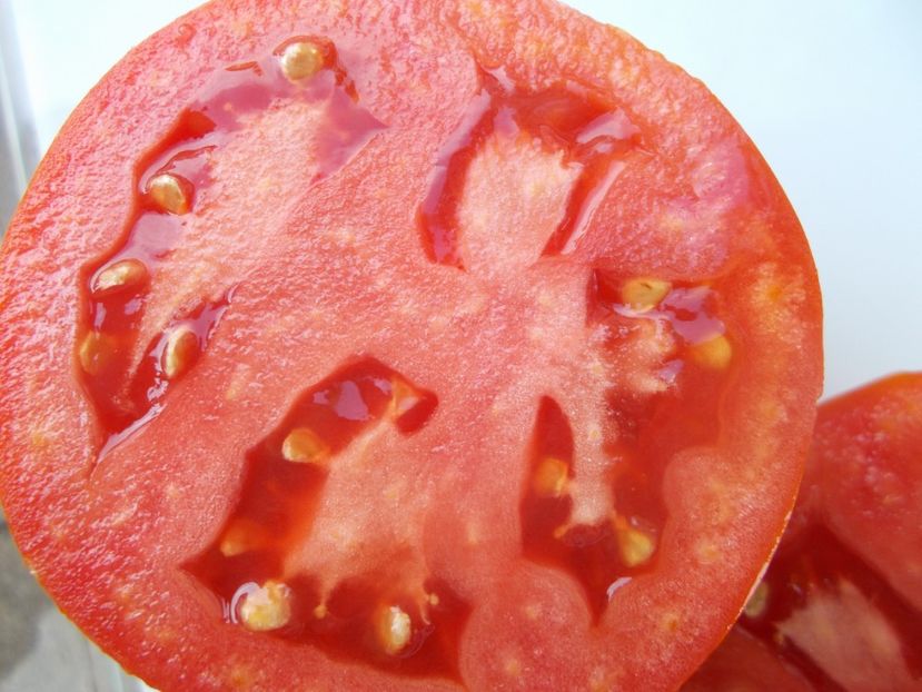  - SEMINTE ROSII - T 1047 BUZAU 4