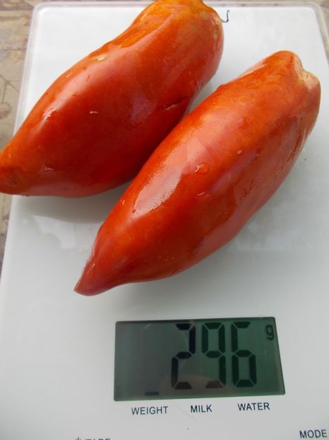  - SEMINTE ROSII - T 1045 HERA