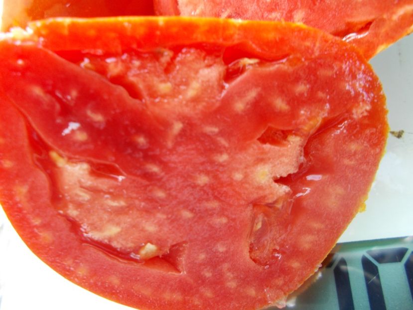  - SEMINTE ROSII - T 1045 HERA