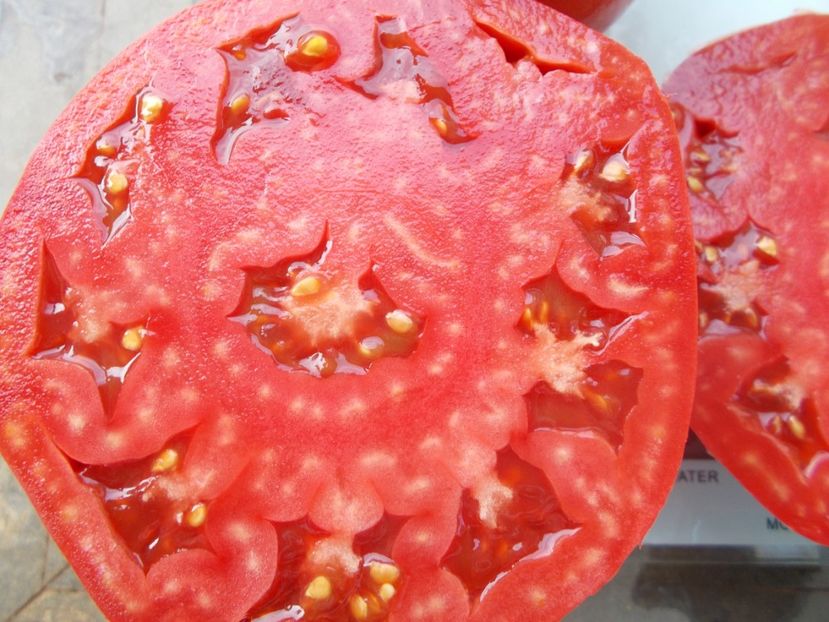  - SEMINTE ROSII - T 1094 INDIRA GANDHI