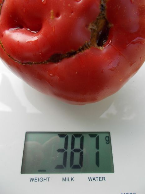  - SEMINTE ROSII - T 1068 HEART OF ROME