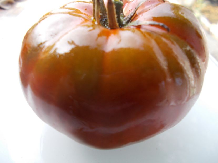  - SEMINTE ROSII - T 1057 SWEET MARMANDE