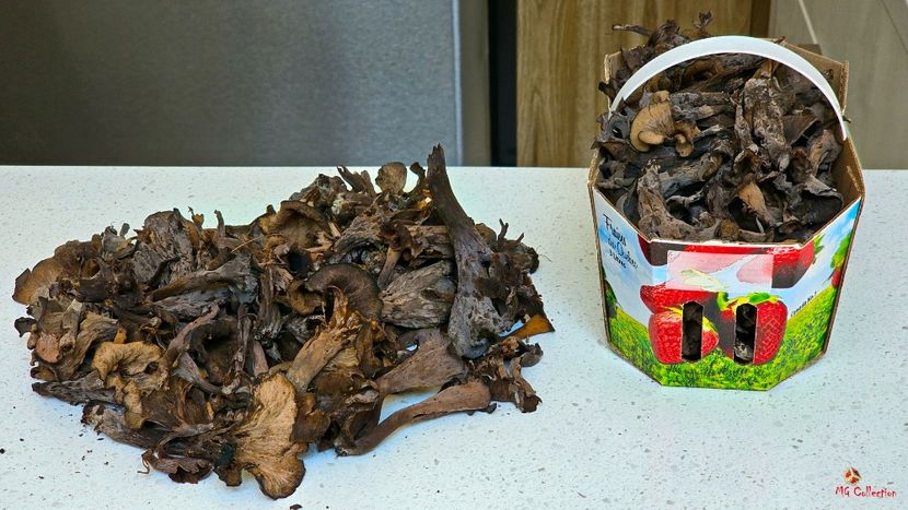 Black Mashrooms - J - VEGS - FRUITS- Legume Fructe