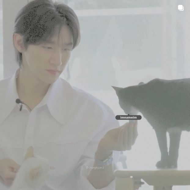 31.08.⠀⠀⠀ ✦ ꯭໋ 熱 t̟e̟n̟d̟e̟r̟♡uoᴉʇɔǝɟɟɐ. ̵ׄ ❵ - Mirrored Blind Playin