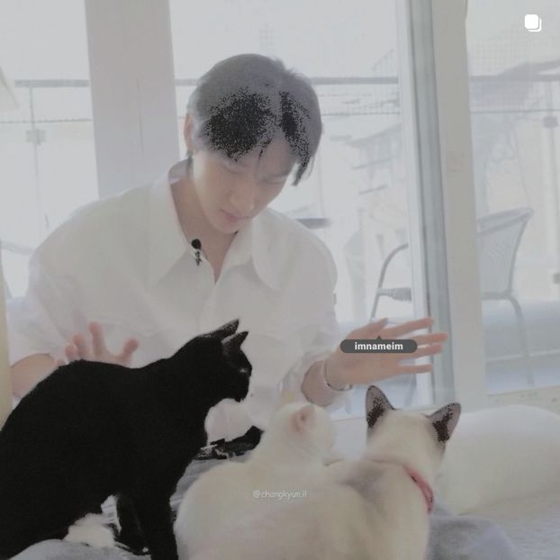 01.09.⠀⠀⠀ ✦ ꯭໋ 熱 t̟e̟n̟d̟e̟r̟♡uoᴉʇɔǝɟɟɐ. ̵ׄ ❵ - Mirrored Blind Playin