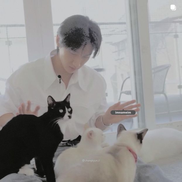 02.09.⠀⠀⠀ ✦ ꯭໋ 熱 t̟e̟n̟d̟e̟r̟♡uoᴉʇɔǝɟɟɐ. ̵ׄ ❵ - Mirrored Blind Playin