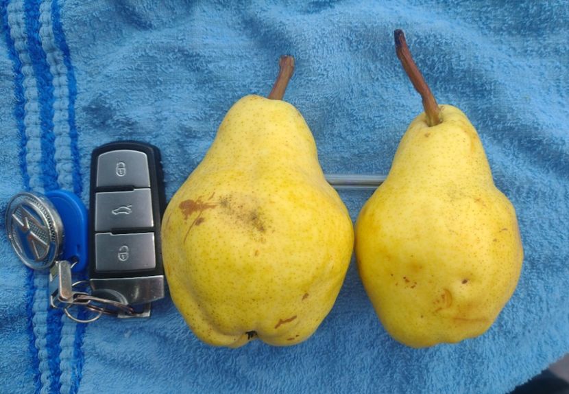 Un maxim spre 200 gr 2024 - Viorica