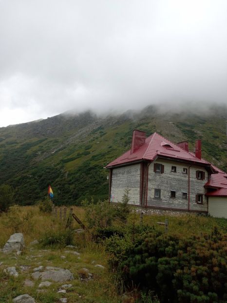  - Lacil iezet 4 augist 2024