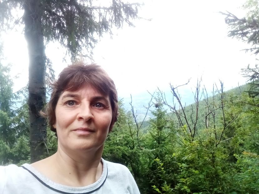  - Lacil iezet 4 augist 2024