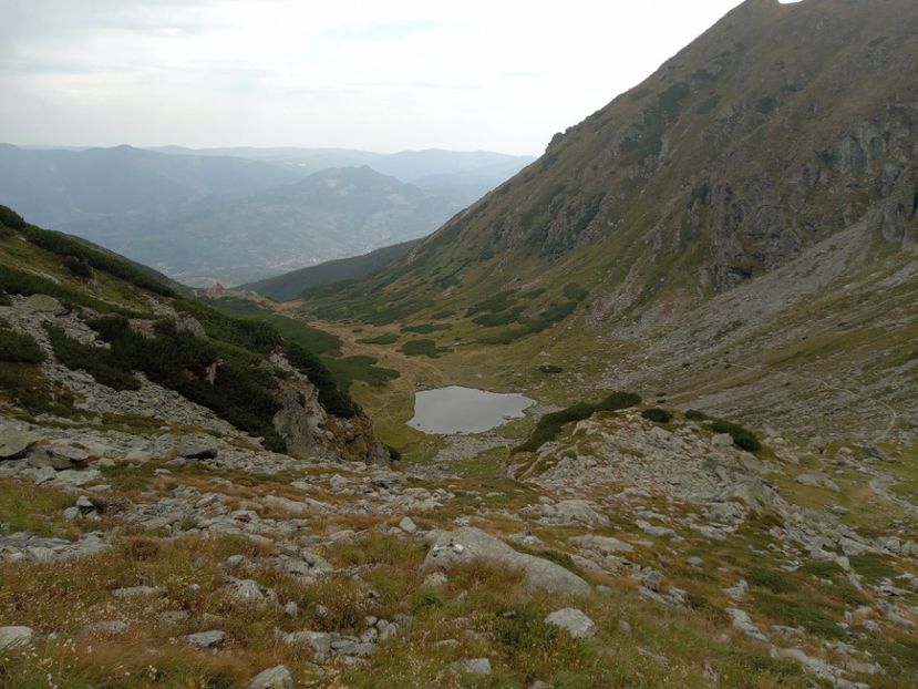  - Pietrosu 1 septembrie 2024