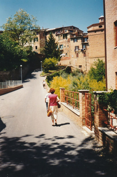  - Siena - Lucca - Pisa - Verona