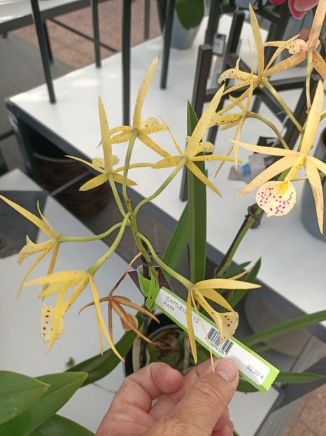 Img.2024.09.05 - Dresden