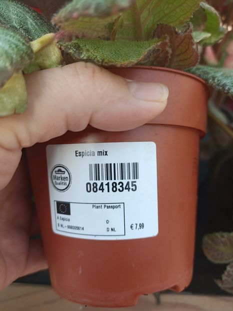 Img.2024.09.05 - Dresden