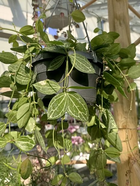 Img.2024.09.05 - Dresden