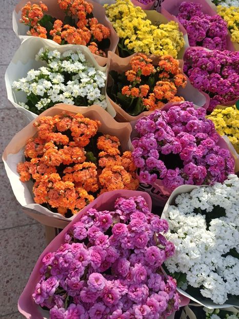 Img.2024.09.05 - Dresden