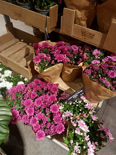 Img.2024.09.05 - Berlin