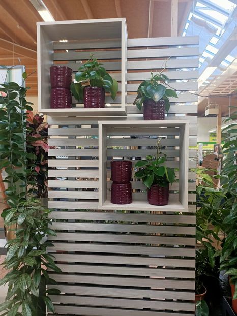 Img.2024.09.06 - Dresden