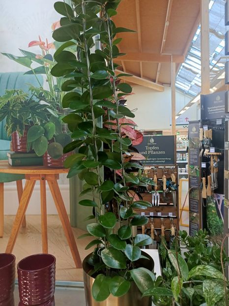 Img.2024.09.06 - Dresden