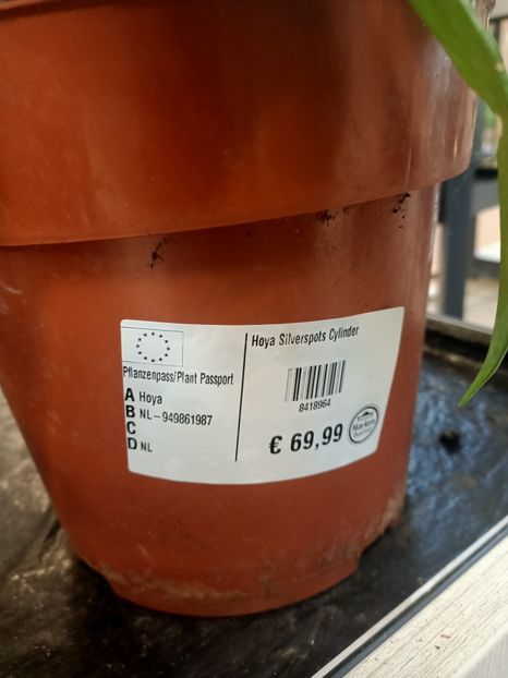 Img.2024.09.06 - Dresden