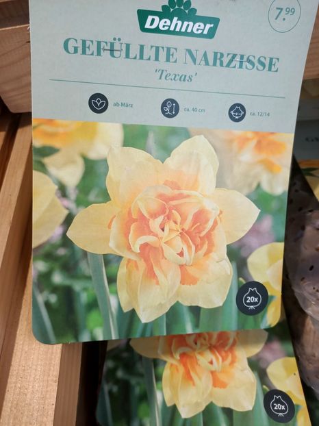 Img.2024.09.06 - Dresden