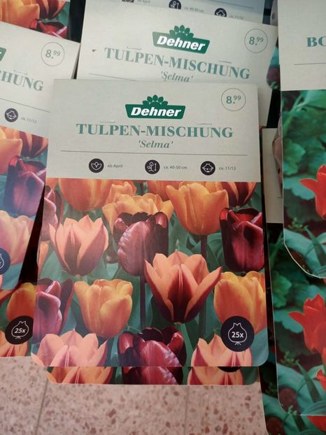 Img.2024.09.06 - Dresden