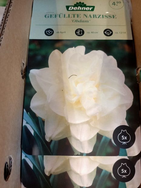 Img.2024.09.06 - Dresden