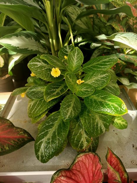 Img.2024.09.06 - Dresden