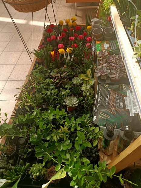 Img.2024.09.06 - Dresden