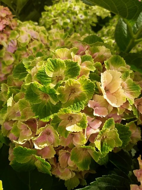 Img.2024.09.06 - Dresden