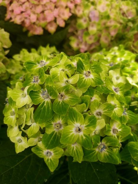 Img.2024.09.06 - Dresden