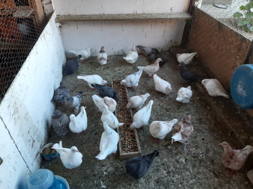 Pui 2024 . - 01 CONTACT