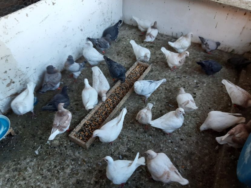 Pui 2024 . - 01 CONTACT