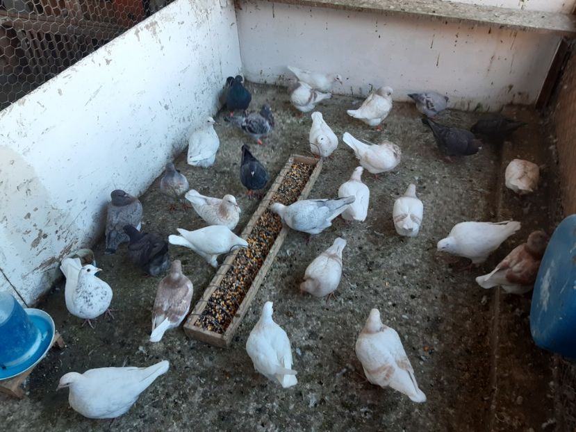 Pui 2024 . - 01 CONTACT