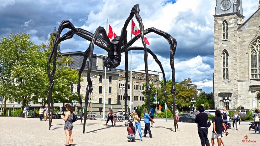 Street Art - Ottawa , ON - OTTAWA -- CANADA