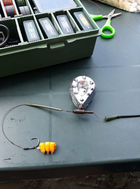 35492714_10211723765115791_8475798421679112192_o-1142x1536 - Porumbei