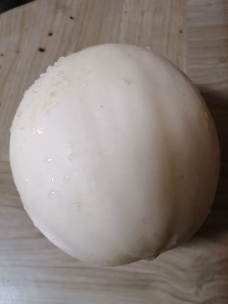  - SEMINTE PEPENE GALBEN - D 219 SNOW LEOPARD