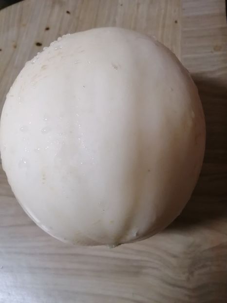  - SEMINTE PEPENE GALBEN - D 219 SNOW LEOPARD