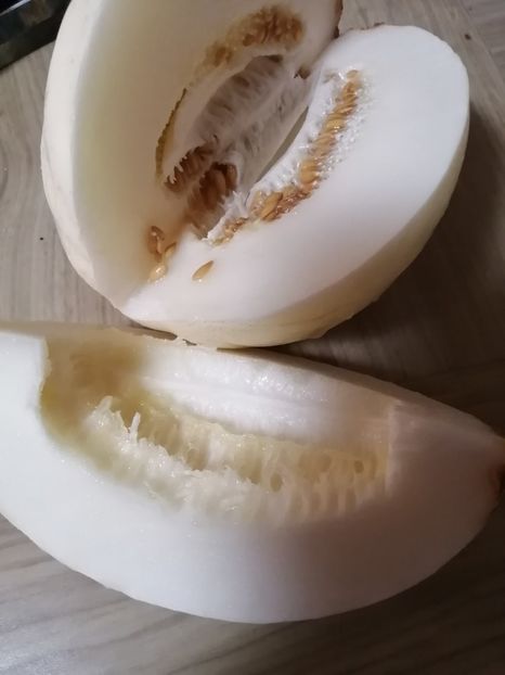  - SEMINTE PEPENE GALBEN - D 219 SNOW LEOPARD