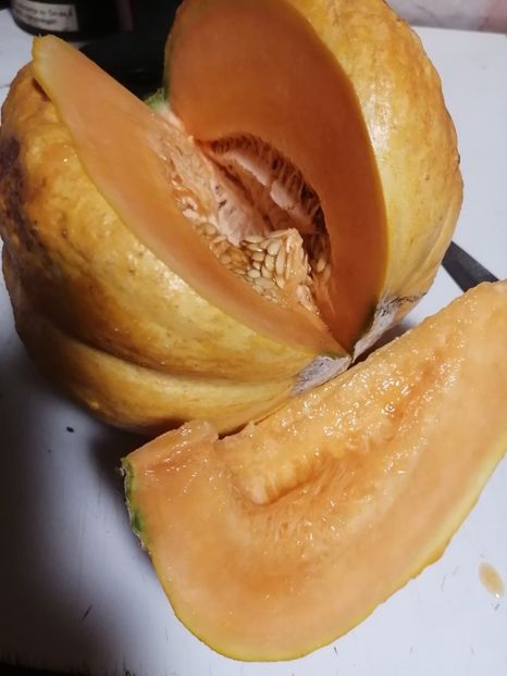  - SEMINTE PEPENE GALBEN - D 220 ZATTA