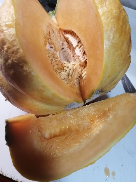  - SEMINTE PEPENE GALBEN - D 220 ZATTA