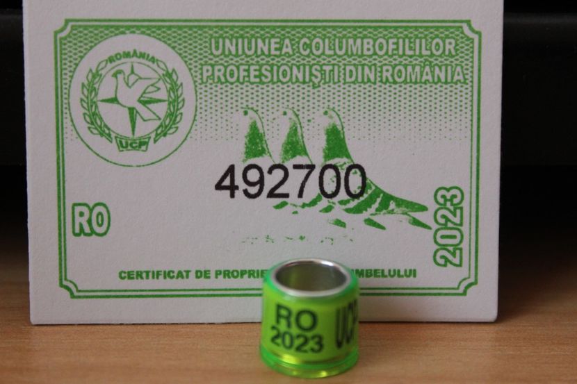 RO UCP 2023 - COLECTIE  DE INELE   ROMANIA
