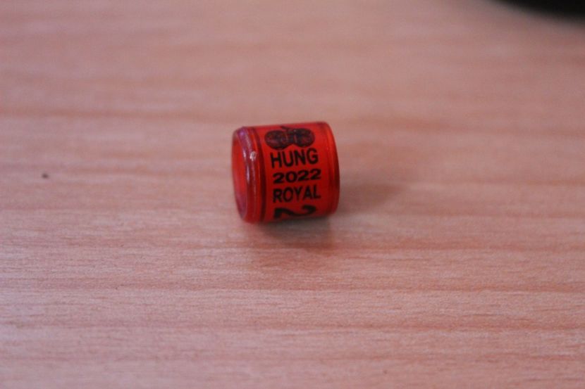 HUNG 2O22 ROYAL - UNGARIA