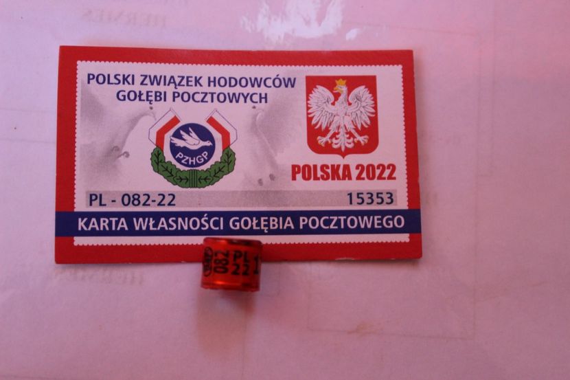 PL FCI 2O22 - POLONIA PL