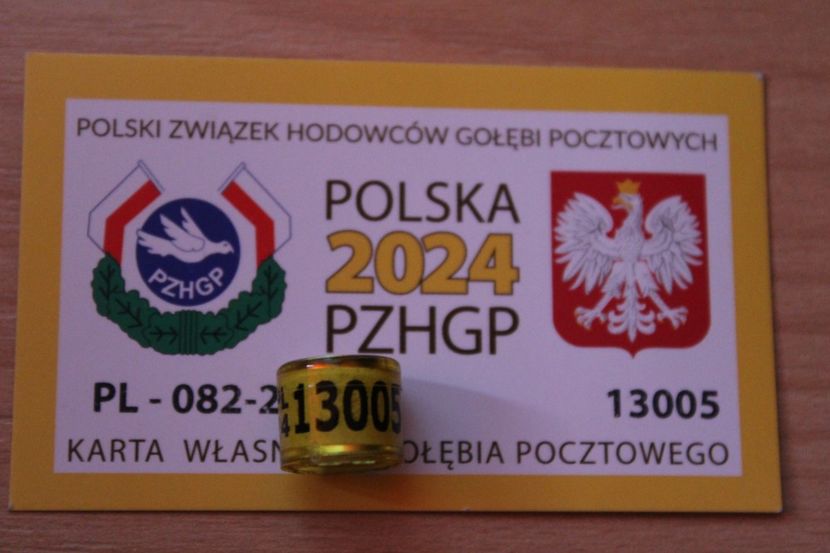 PL FCI 2O24 - POLONIA PL