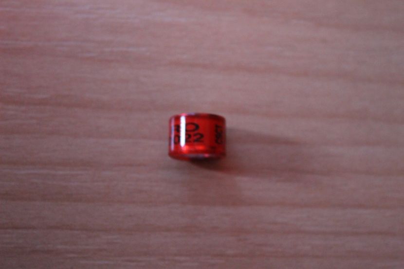 RO 2o22 CSCT - COLECTIE  DE INELE   ROMANIA