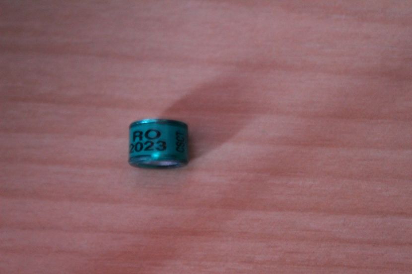 RO 2o23 CSCT - COLECTIE  DE INELE   ROMANIA